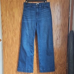 LOFT Blue Flare Wide Leg Jeans